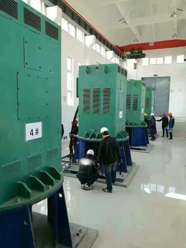 富阳某污水处理厂使用我厂的立式高压电机安装现场